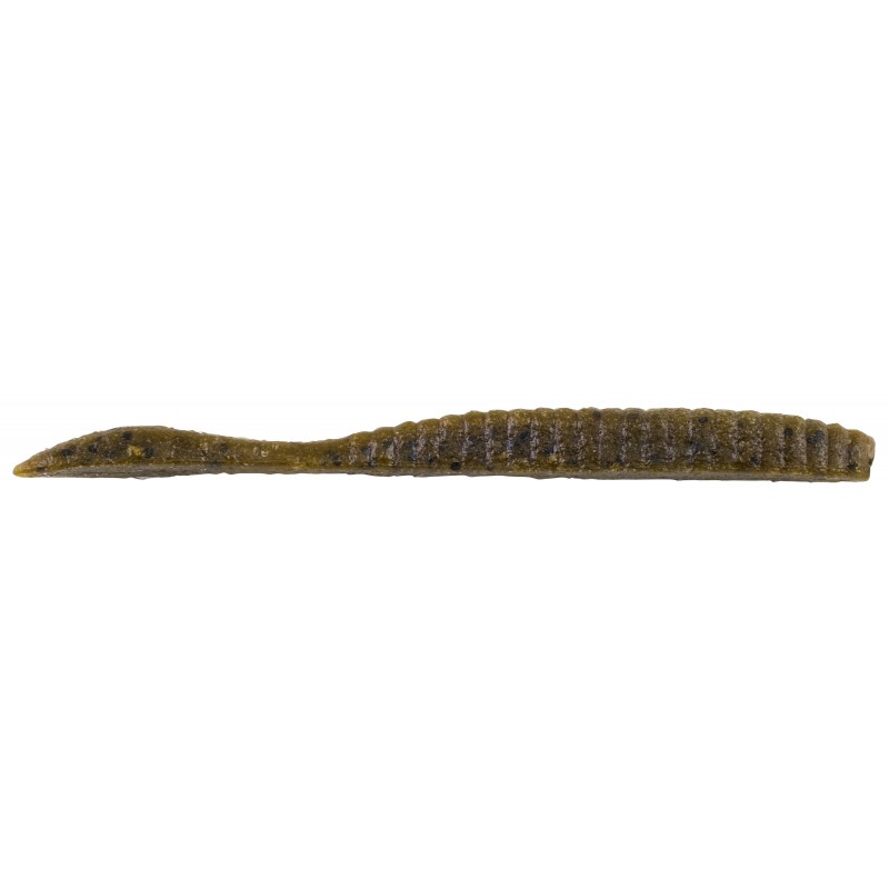 worm flat design dribble